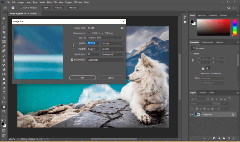 How to Resize JPEG Image Photoshop
